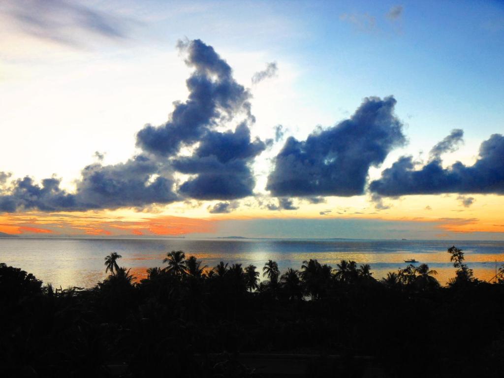 Parrot Paradise Resort Boljoon المظهر الخارجي الصورة